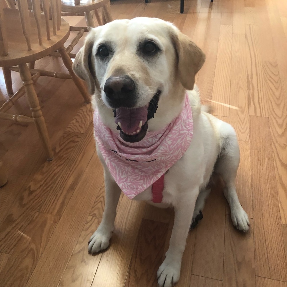 Meet your Posher, Alyson